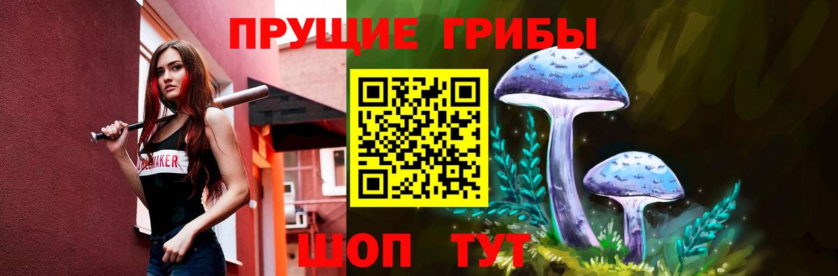 Галлюциногенные грибы GOLDEN TEACHER  хочу   Вход с VPN  Алексин  Псилоцибиновые грибы ЛСД 
